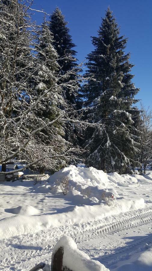 Wanderhuette Zum Bernhardsthal Villa Luaran gambar