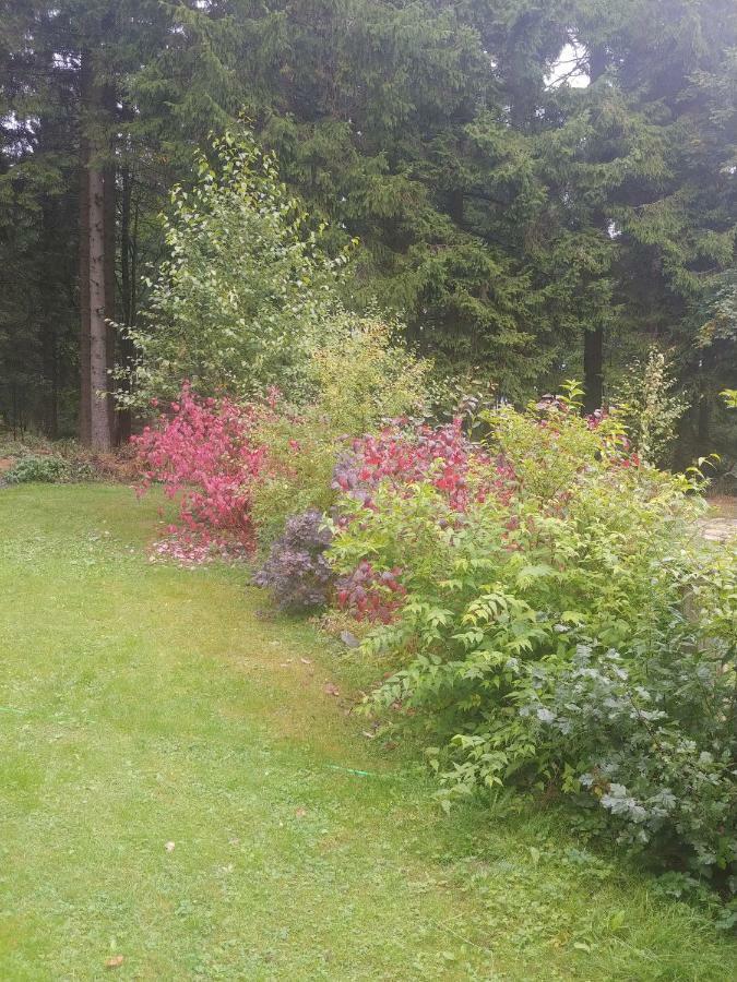 Wanderhuette Zum Bernhardsthal Villa Luaran gambar